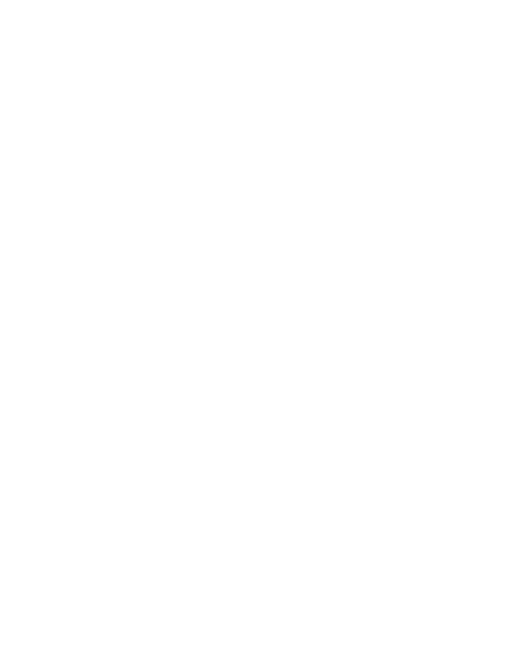 Auto Falante