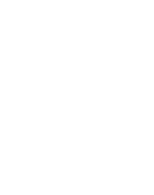 Calçadista